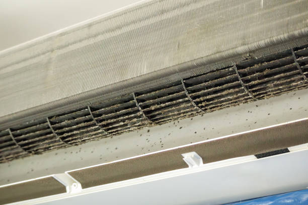Best HVAC Duct Inspection Services  in Big Pine Key, FL